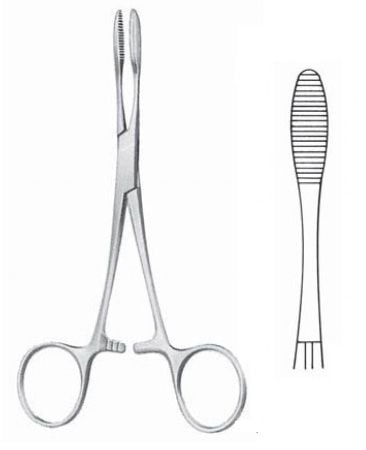 Pinza Pena, recta, sin dientes, 16cms. (HASTA FIN DE EXISTENCIAS)